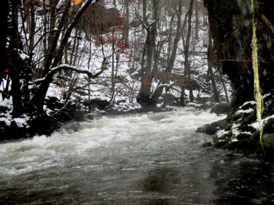 au fil de l'eau